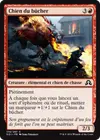 Product image for Chien du bûcher