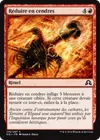 Product image for Réduire en cendres