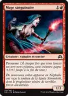 Product image for Mage sanguinaire