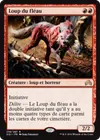 Product image for Loup du fléau