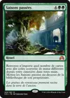 Product image for Saisons passées