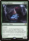 Product image for Soul Swallower