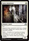 Product image for Geist renverseur