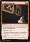 Product image for Tormenting Voice