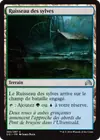 Product image for Ruisseau des sylves