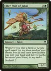 Product image for Elder Pine of Jukai