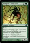 Product image for Araignée à toile acide