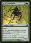Product image for Acid Web Spider