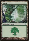 Product image for Forest