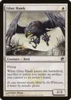 Product image for Glint Hawk