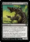 Product image for Rats de sanie