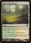 Product image for Razorverge Thicket
