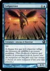 Product image for Colipervier