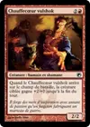 Product image for Chauffecœur vulshok