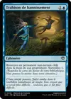 Product image for Trahison de bannissement