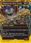 Product image for Seigneur des mort-vivants
