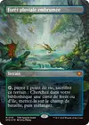 Product image for Forêt pluviale embrumée