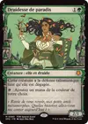 Product image for Druidesse de paradis