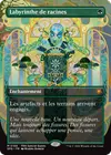 Product image for Labyrinthe de racines
