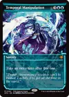 Product image for Temporal Manipulation