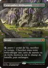 Product image for Catacombes verdoyantes