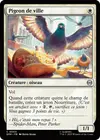 Product image for Pigeon de ville