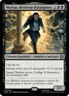 Product image for Morlun, dévoreur d'araignées