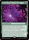 Product image for Web of Life and Destiny