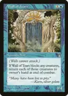 Product image for Wall of Tears