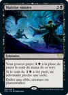 Product image for Maîtrise sinistre