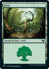 Product image for Forêt