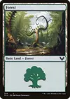 Product image for Forest