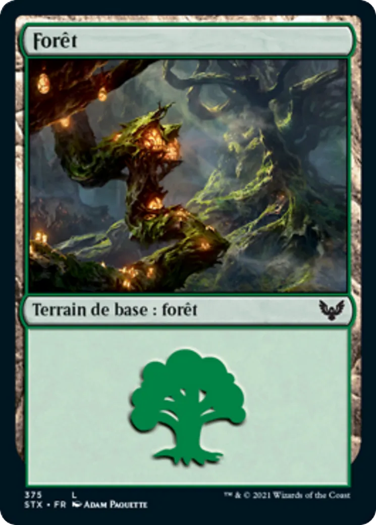 Forêt — Strixhaven: School of Mages — Magic: The Gathering