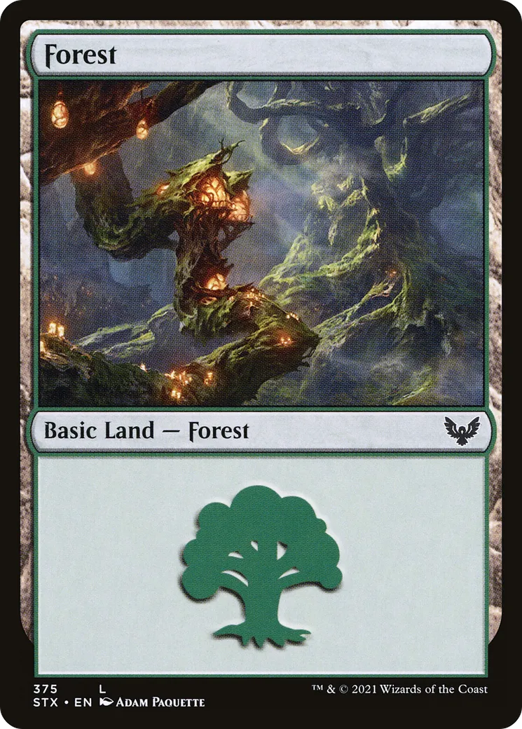 Forest — Strixhaven: School of Mages — Magic: The Gathering