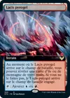 Product image for Lacis pyrogel