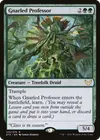Product image for Gnarled Professor