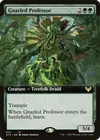 Product image for Gnarled Professor