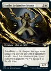 Product image for Scribe de lumière léonin