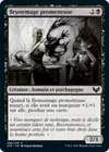 Product image for Brunemage prometteuse