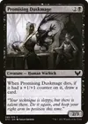 Product image for Promising Duskmage