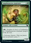 Product image for Amplimancien téméraire