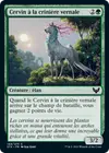Product image for Cervin à la crinière vernale