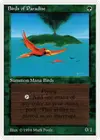 Product image for Birds of Paradise