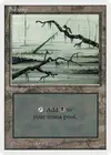 Product image for Swamp
