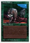Product image for Loups des forêts