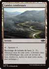 Product image for Landes cendreuses