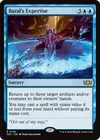 Product image for Baral's Expertise