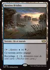 Product image for Bassins fétides