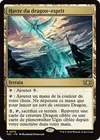 Product image for Havre du dragon-esprit