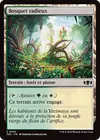 Product image for Bosquet radieux